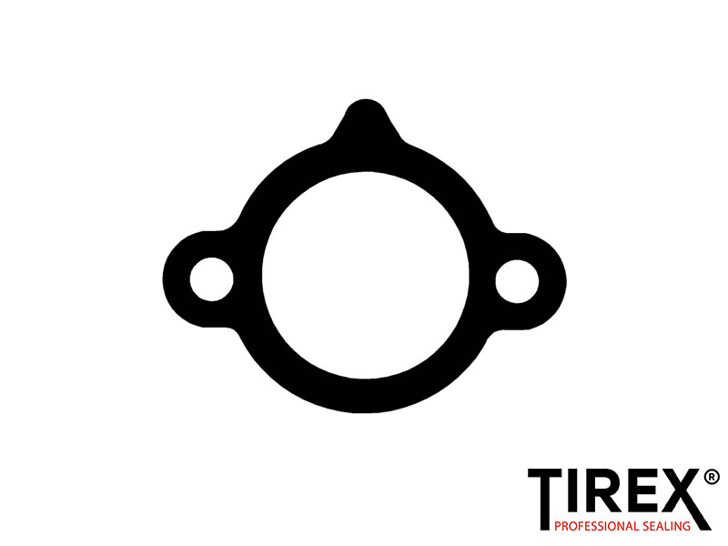Прокладка натяжителя цепи ГРМ - Tirex A1S01430