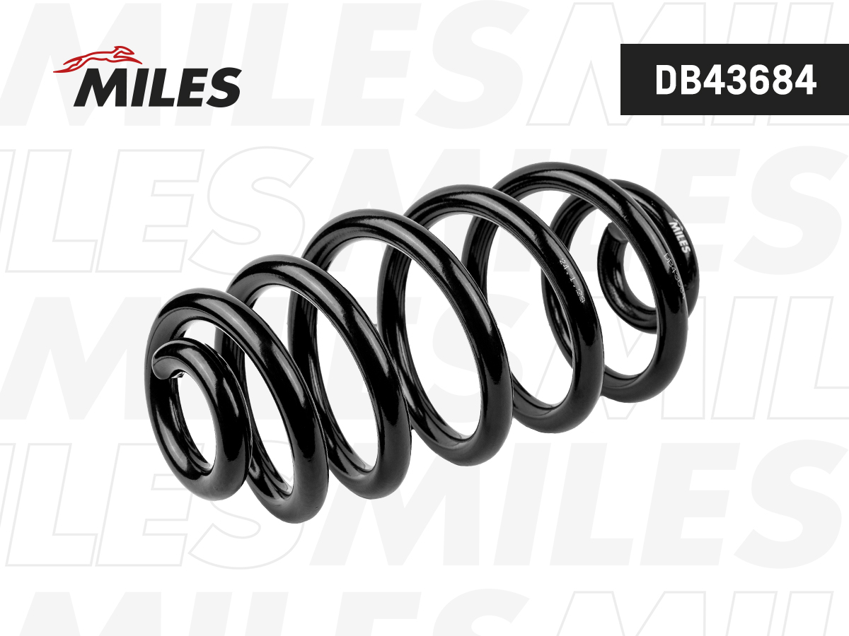 Пружина подвески Audi A4 ii,iii 01-, Seat Exeo 08-задняя - Miles DB43684