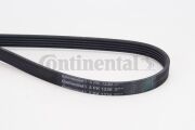 Ремень поликлиновой - CONTINENTAL 5PK1230