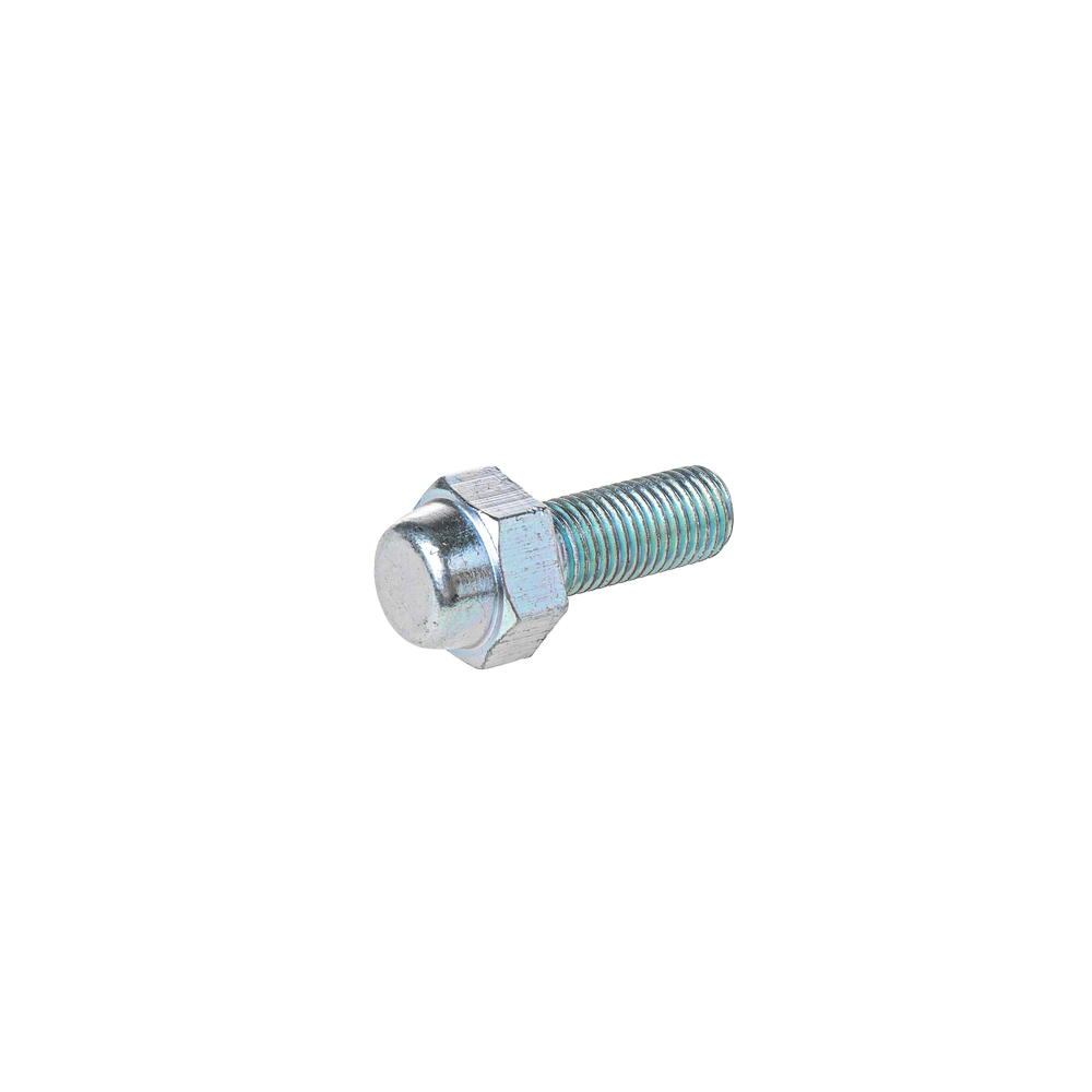 Болт M10x25 Суппорта с Ограничителем Нижний - GANZ GUM05063