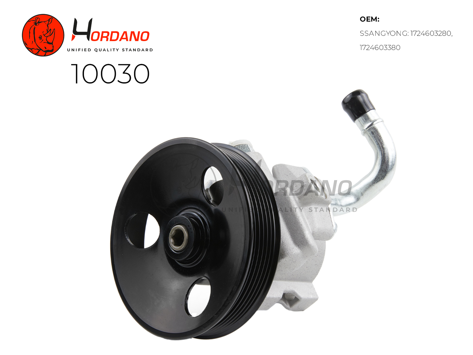 Насос ГУР ssangyong actyon II - HORDANO 10030