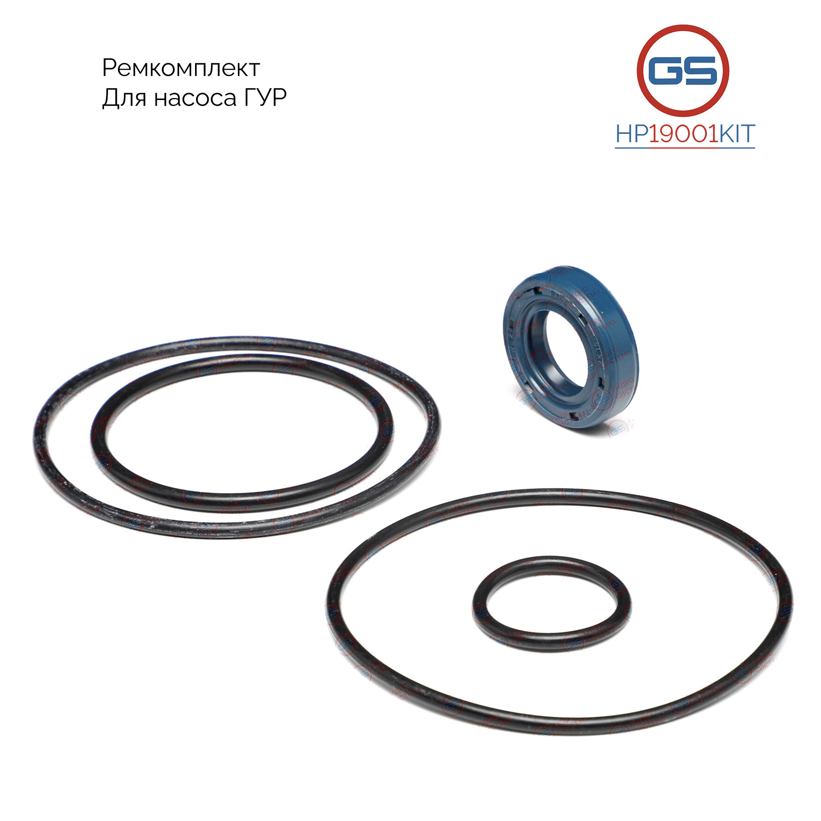 Ремкомплект насоса ГУР Iveco Daily III 1999-2006,Fiat Ducato 1981-1994 - GS HP19001KIT