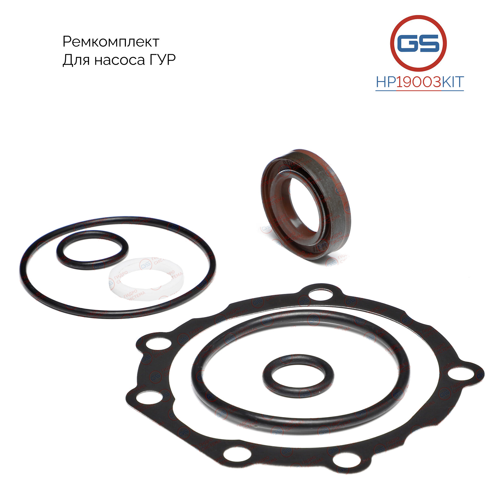 Ремкомплект насоса ГУР Fiat Ducato (250) 2006-, Iveco Daily 2006- - GS HP19003KIT