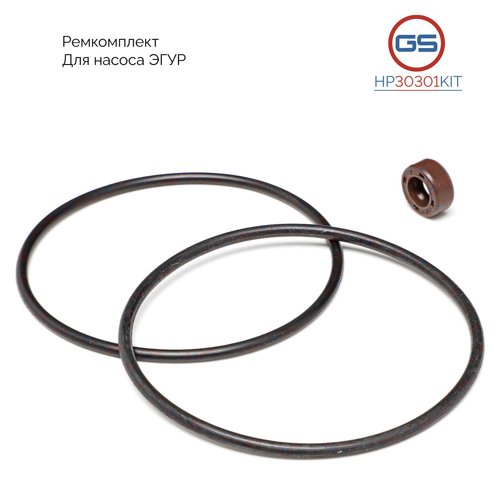 Ремкомплект насоса эгур Peugeot 307 2000- - GS HP30301KIT