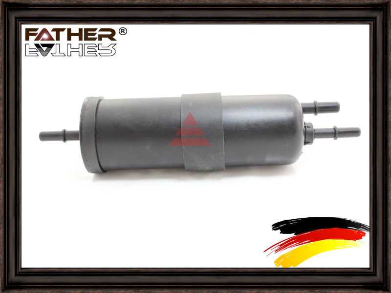 Фильтр топливный Father F2481R76