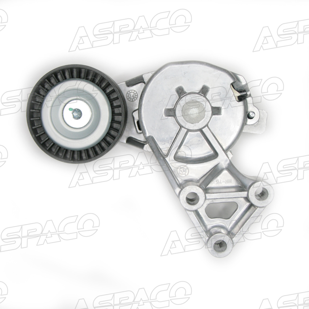 Натяжитель приводного ремня с кронштейном дизельные VW golf iv/bora/sharan/a3 - Aspaco AP8903315F