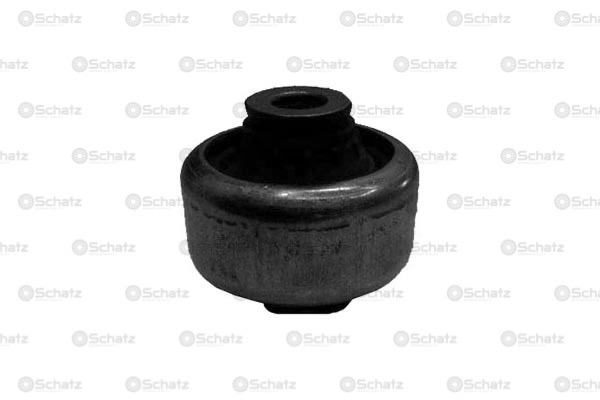 Сайлентблок (задний) clio 12-19, kangoo 08-, megane 03-09, scenic 03-09 - SCHATZ S26585