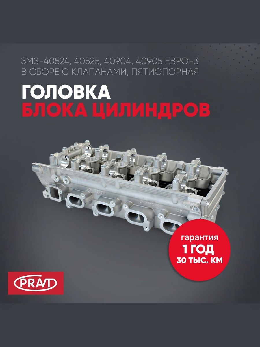 Головка блока 3302 40524, 40525, 40904, 40905 Евро-3 в сборе с клапанами, пятиопорная - PRAVT PR406243906562
