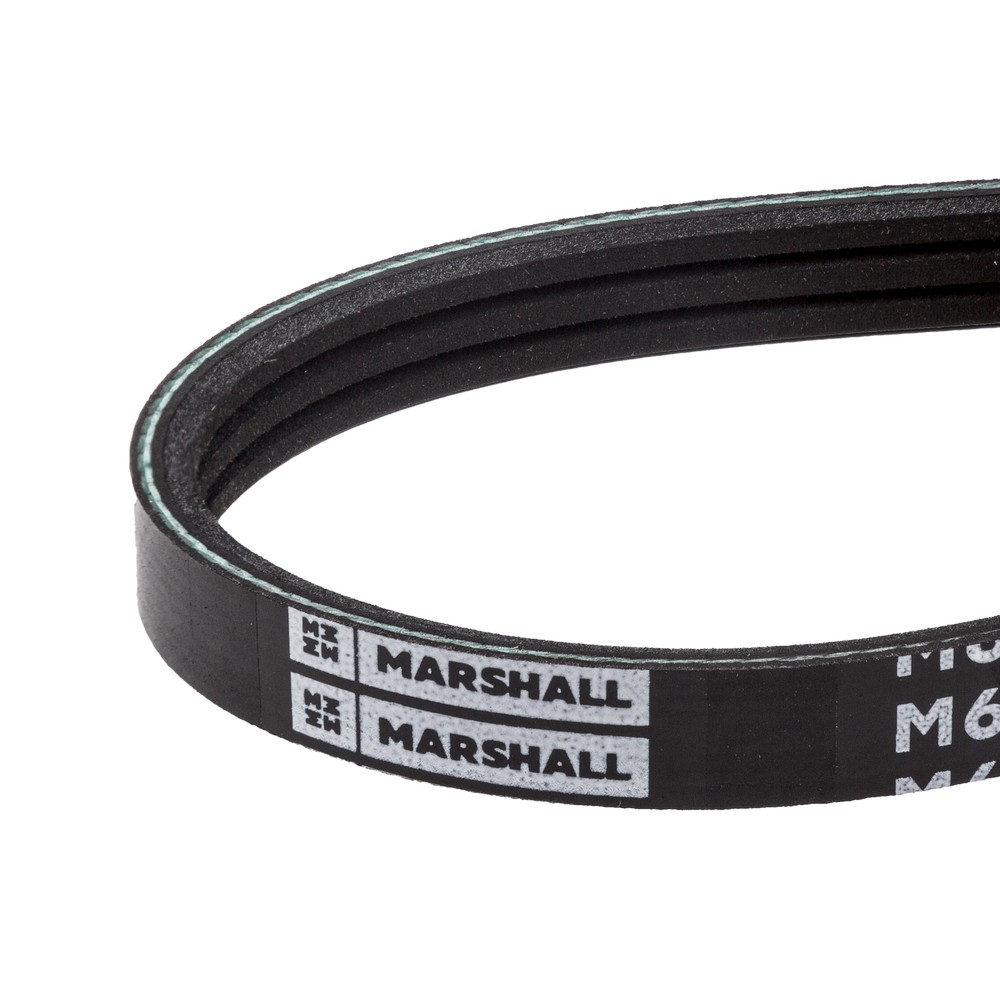 Ремень поликлиновый - Marshall M6310499