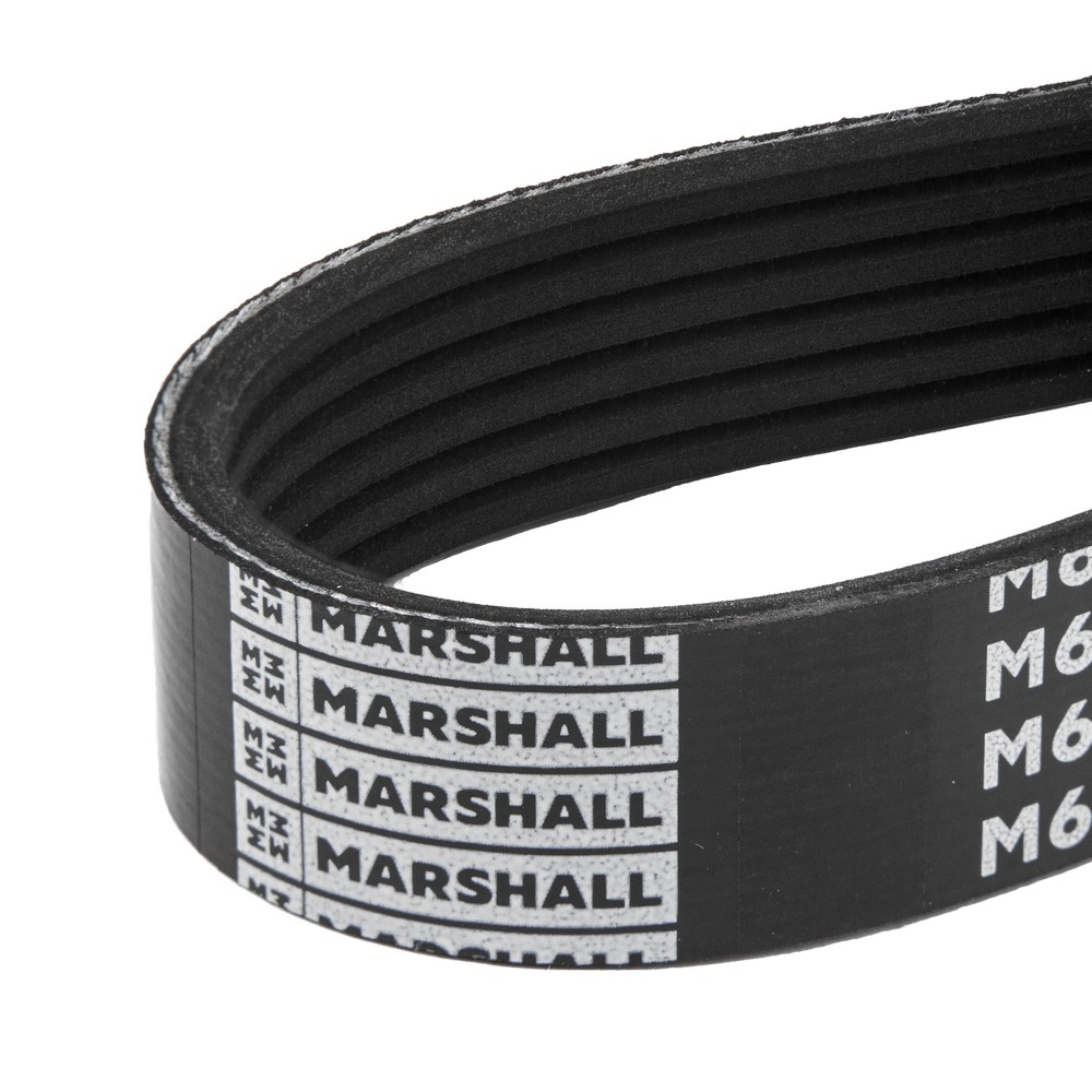 Ремень поликлиновый - Marshall M6310586