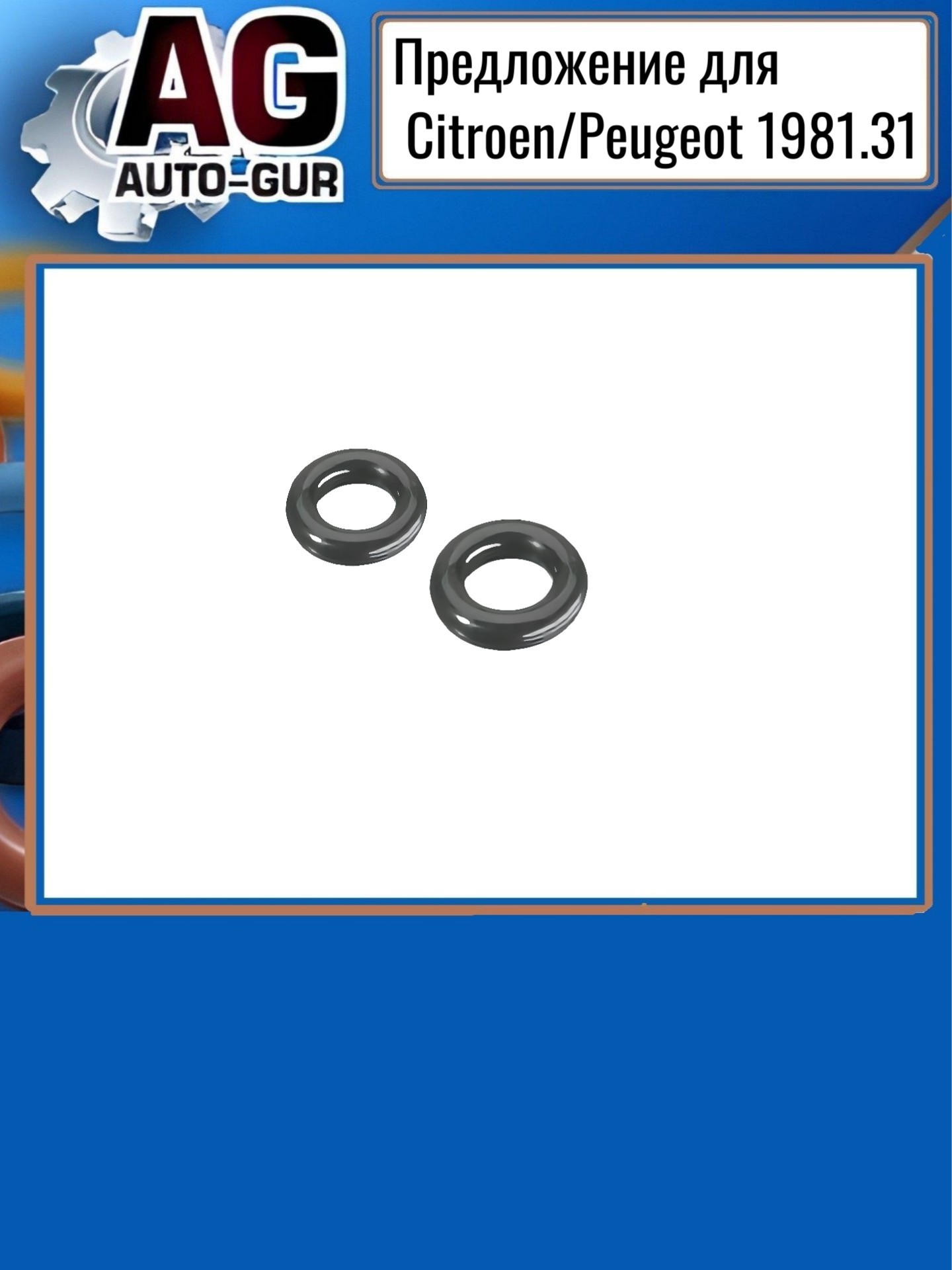 Кольца уплотнительные на одну форсунку - Auto-GUR RR924