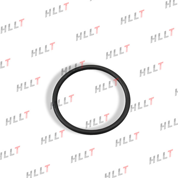 Кольцо уплотнительное audi a3/s3 (04-13), A4 (06-15), VW passat (06-14) - HLLT HLKLC310