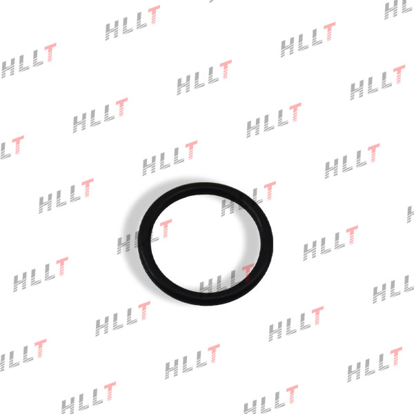 Кольцо уплотнительное audi A4 B6 (00-04), VW touareg (02-10) - HLLT HLKLC312