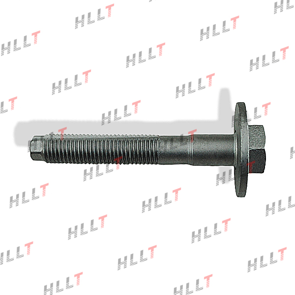 Болт развальный audi A3 (04-15), skoda octavia (04-15), volkswagen EOS (06-15), jetta (05-15) - HLLT HLL00112
