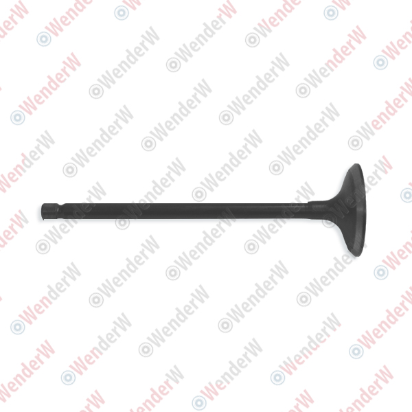 Клапан впускной mitsubishi l200 - WENDERW WEVN001