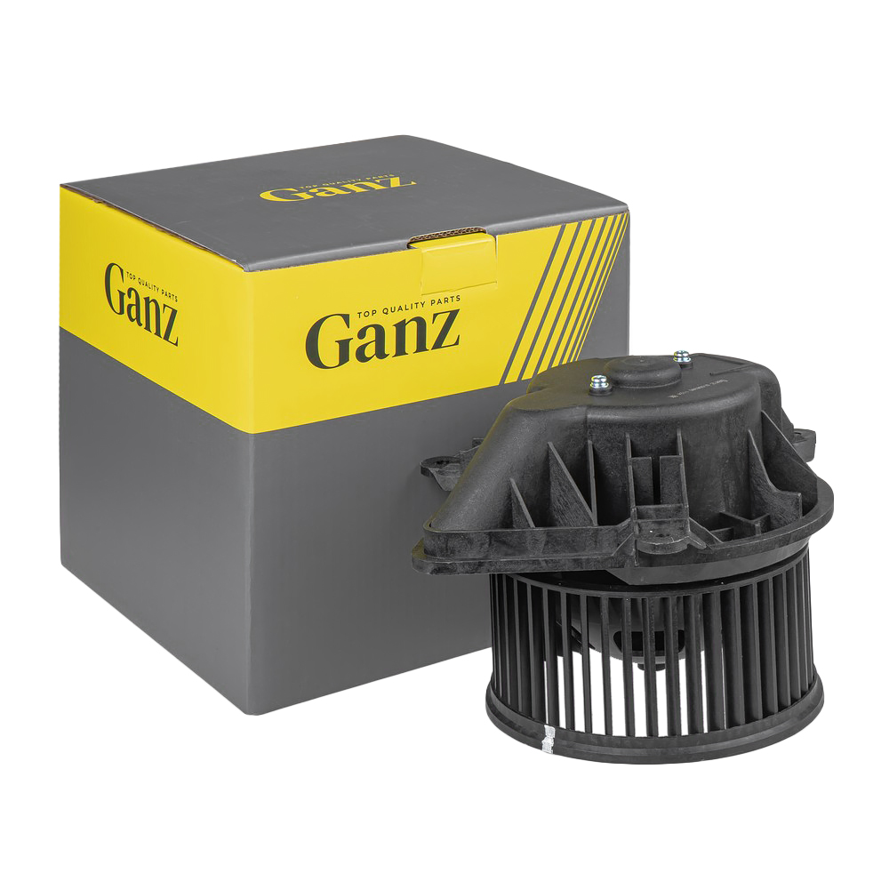 Вентилятор отопителя renault Megane/Scenic 96-01/Scenic i 99-03 - GANZ GIC06380