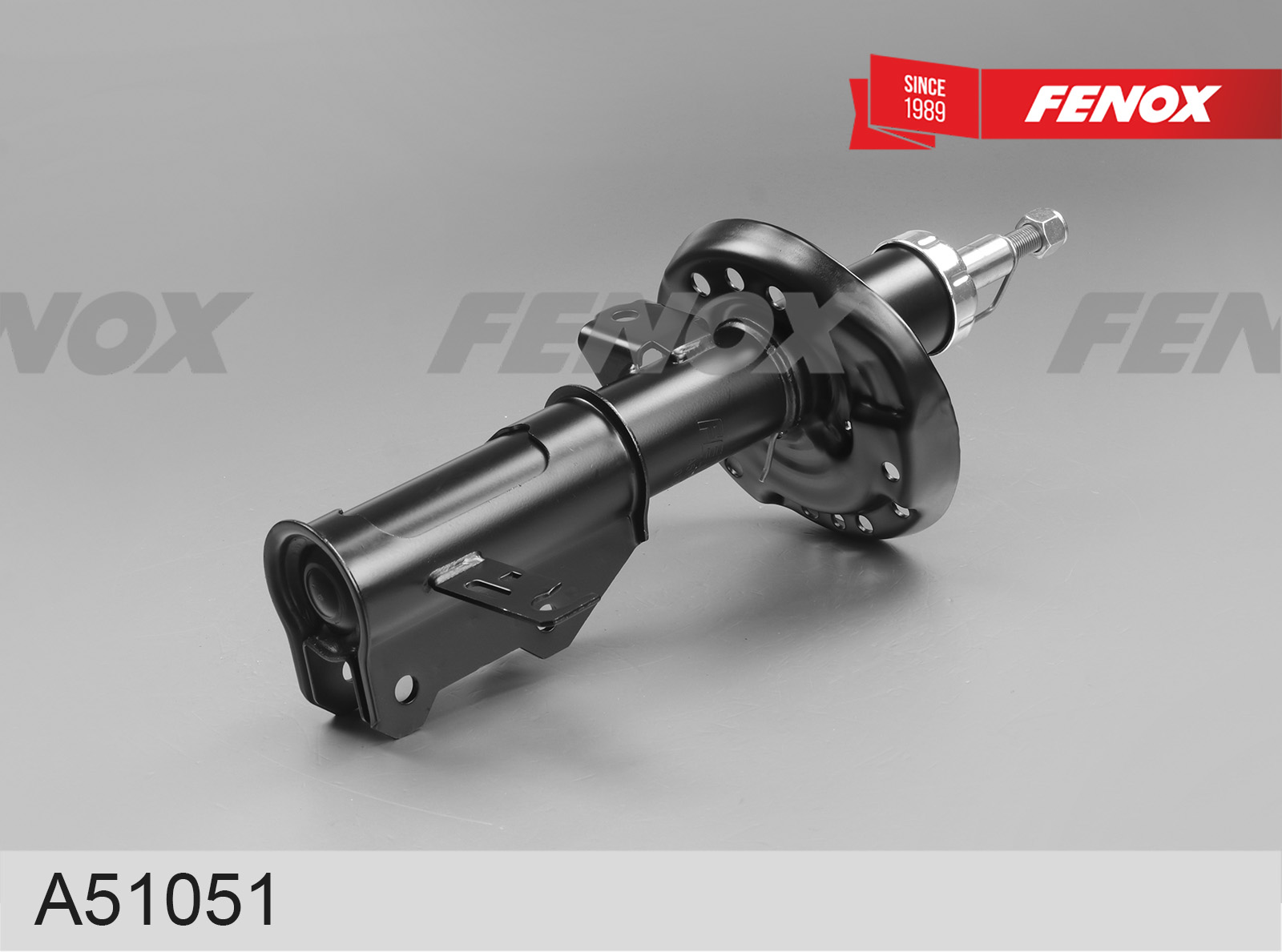 Амортизатор - Fenox A51051