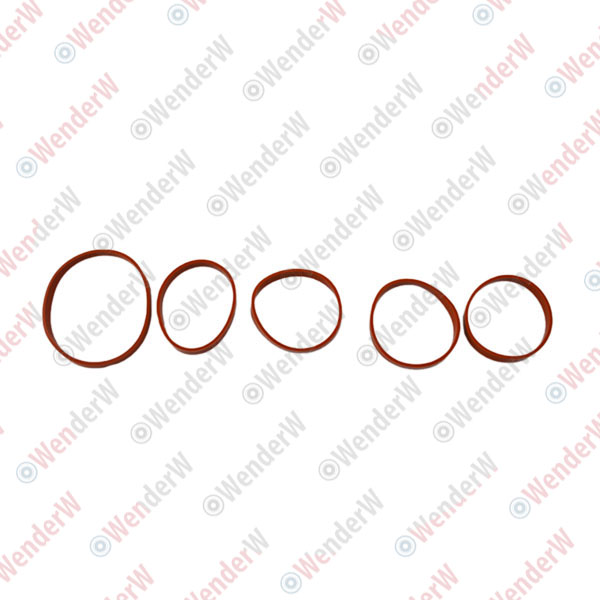 Прокладка впускного коллектора К-Т 5. opel astra 04-, mokka 13-, zafira-b 05- - WENDERW WERK170
