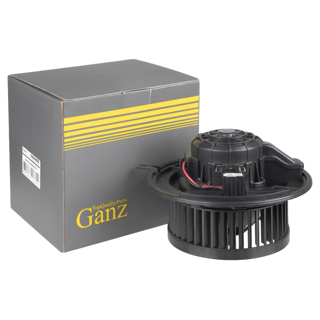 Мотор отопителя москвич 3 / JAC JS 4 - GANZ GIS04015
