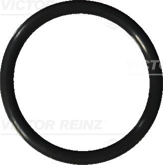 Кольцо уплотнительное маслоимерительной трубки - Victor Reinz 40-76041-20