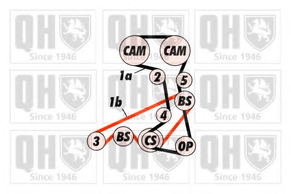 Ремень ГРМ - Quinton Hazell QTB421