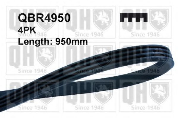 Ремень ручейковый - Quinton Hazell QBR4950
