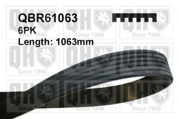 Ремень поликлиновый - Quinton Hazell QBR61063