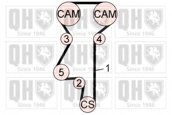 Комплект ремня ГРМ - Quinton Hazell QBK608