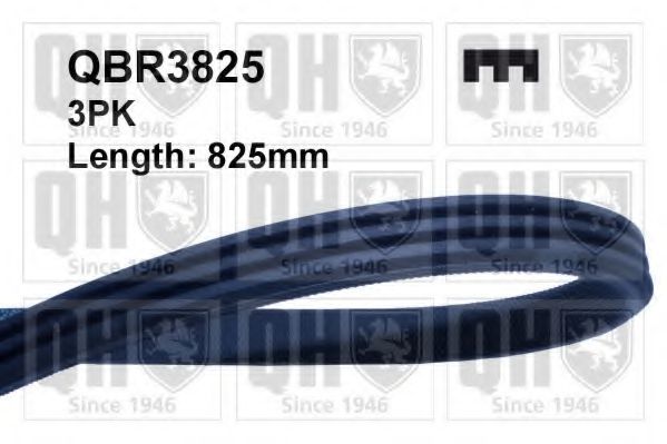 Ремень поликлиновый - Quinton Hazell QBR3825