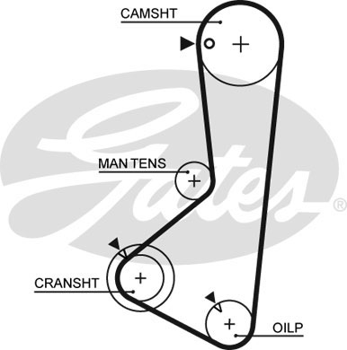 63123х3/ 4 HSN Ремень ГРМ - Gates 5254XS
