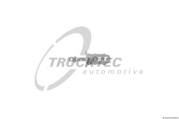 Ограничитель двери | зад | - Trucktec Automotive 02.53.066