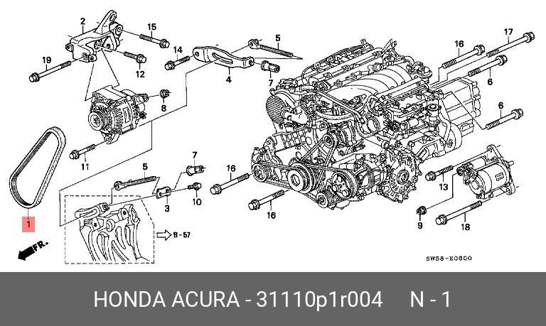 Ремень поликлиновый - Honda 31110-P1R-004