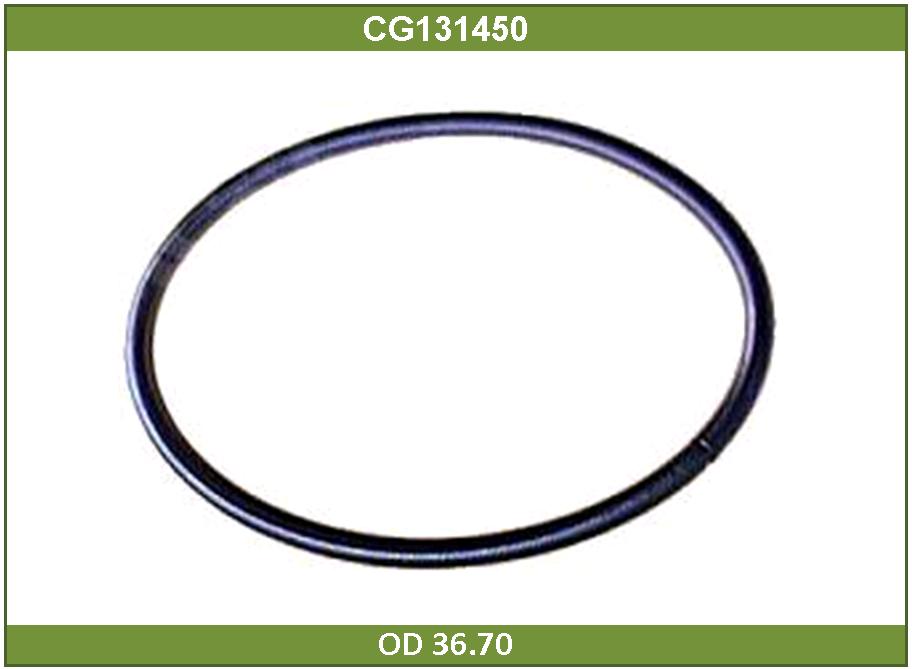 Пруж. для Oil Seal - Cargo 131450