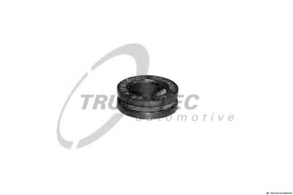 Заглушка головки - Trucktec Automotive 02.10.064