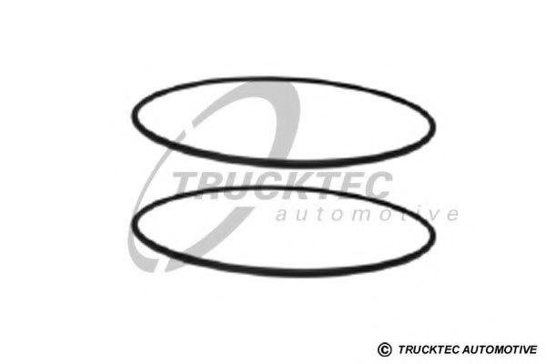 Кольцо уплотнительное - Trucktec Automotive 01.67.169