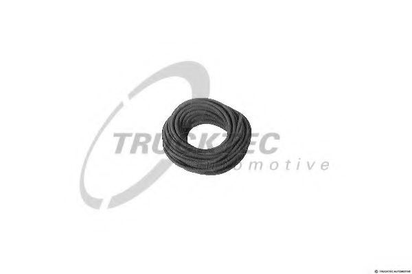 Шланг топливный - Trucktec Automotive 20.01.001