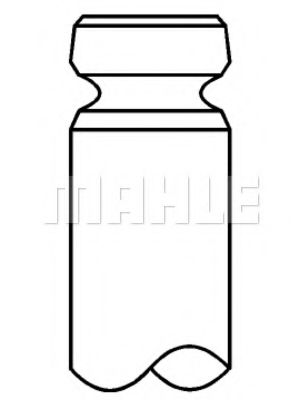 Клапан выпускной HCV