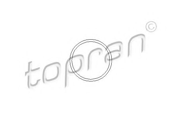 Прокладка водяного насоса - Topran 202 290